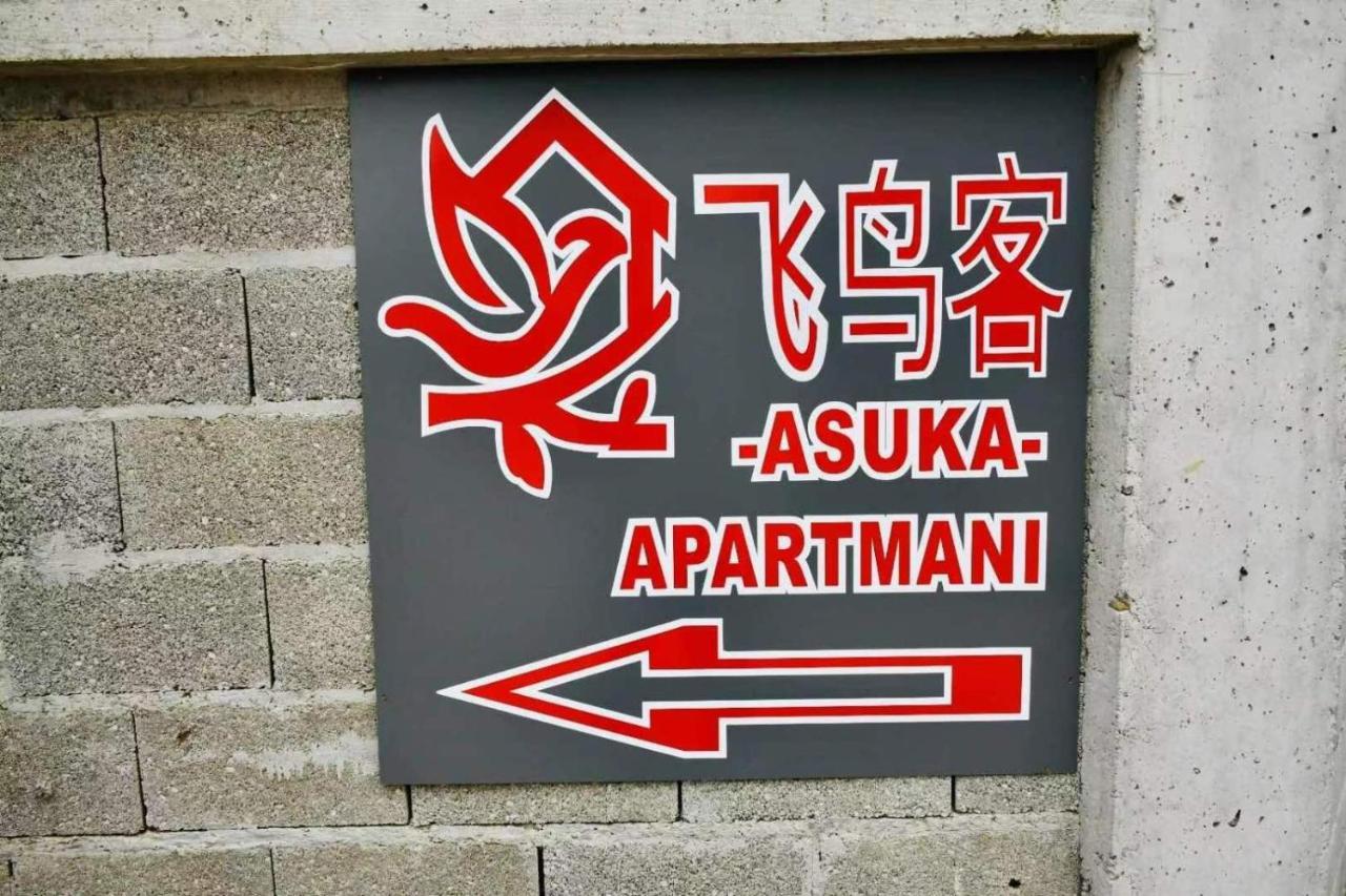 Asuka Apartmani 飞鸟客 Surčin Exteriör bild